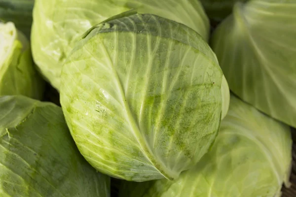 Raw Green Organic Cabbages — Stock Photo, Image