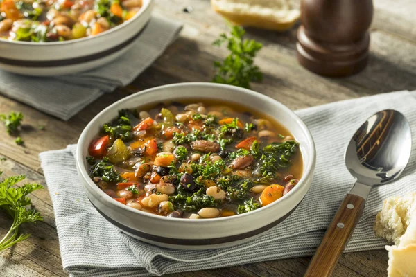 Hot Organic fatto in casa 10 Bean Soup — Foto Stock