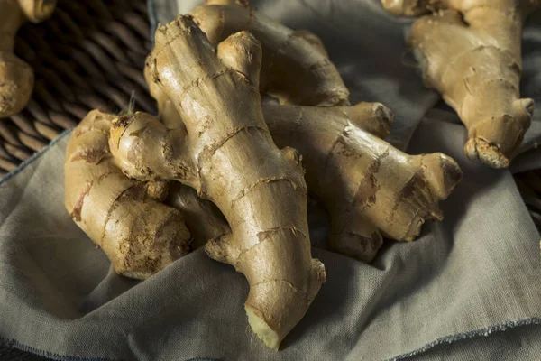 Nyers barna szerves Ginger Root — Stock Fotó