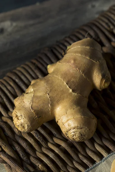 Nyers barna szerves Ginger Root — Stock Fotó