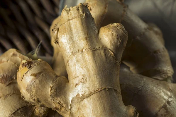 Nyers barna szerves Ginger Root — Stock Fotó