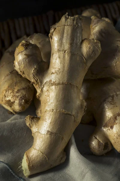 Nyers barna szerves Ginger Root — Stock Fotó