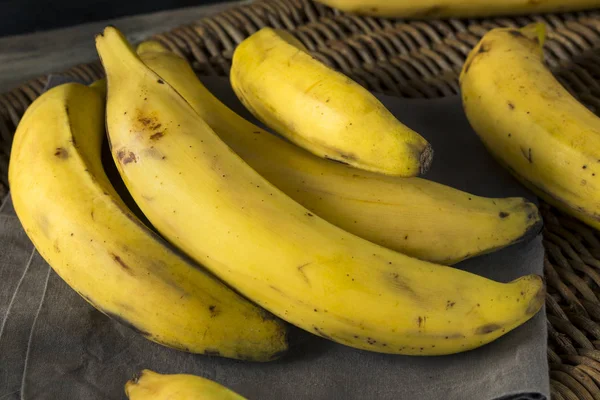 Bananes plantaines jaunes biologiques crues — Photo