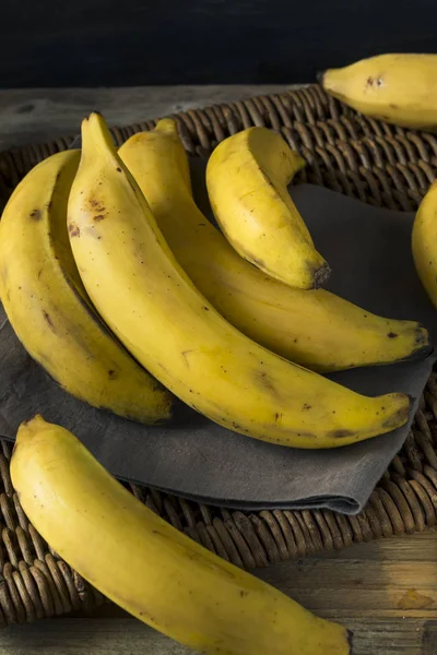 Raw bio žlutých banánů — Stock fotografie