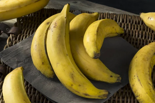 Желтоплодные бананы — стоковое фото