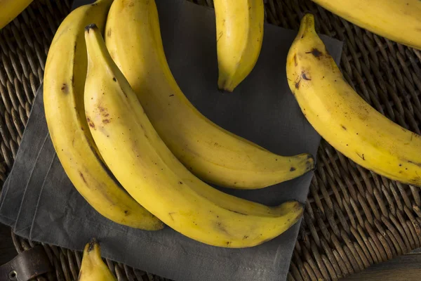 Bananes plantaines jaunes biologiques crues — Photo