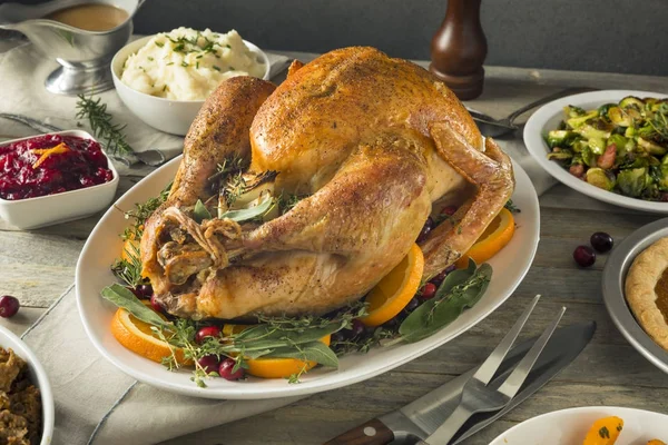 Ekologisk frigående hemmagjord Thanksgiving kalkon — Stockfoto