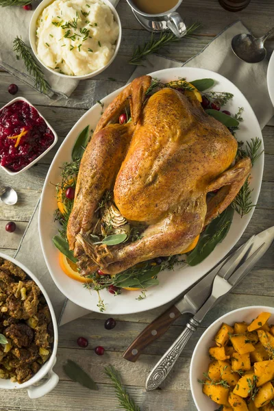 Organicznych z wybiegiem w domu Święto Dziękczynienia Turcji — Zdjęcie stockowe