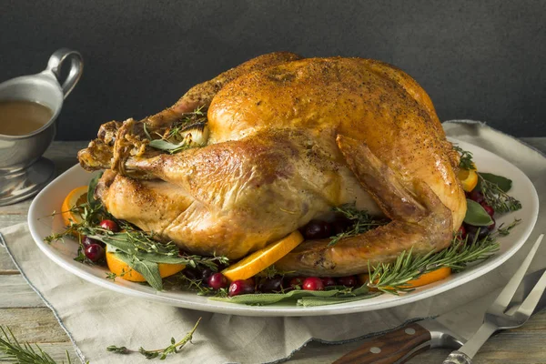 Biologische vrije uitloop zelfgemaakte Thanksgiving kalkoen — Stockfoto