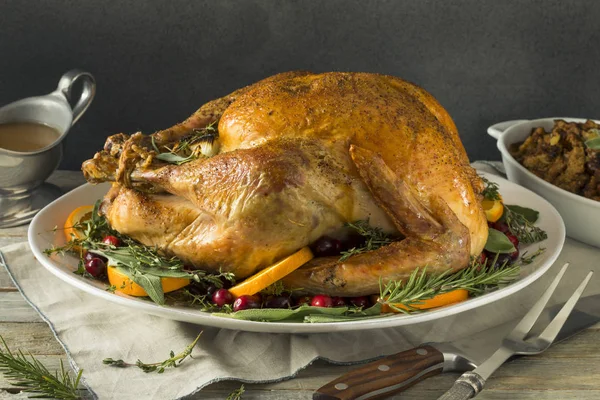 Biologische vrije uitloop zelfgemaakte Thanksgiving kalkoen — Stockfoto