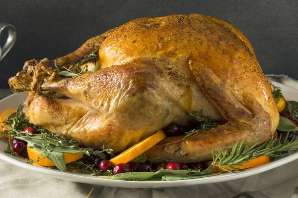 Biologische vrije uitloop zelfgemaakte Thanksgiving kalkoen — Stockfoto