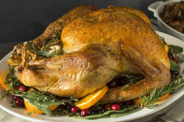 Biologische vrije uitloop zelfgemaakte Thanksgiving kalkoen — Stockfoto