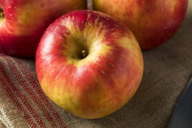 Çiğ kırmızı organik tatlı Tango Gala elma