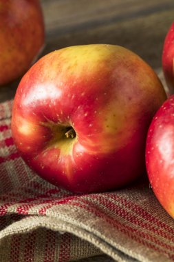 Çiğ kırmızı organik tatlı Tango Gala elma