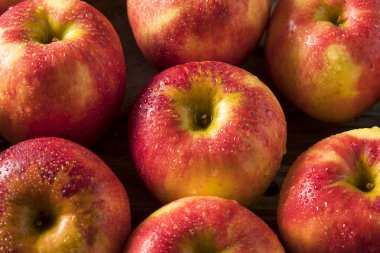 Çiğ kırmızı organik tatlı Tango Gala elma
