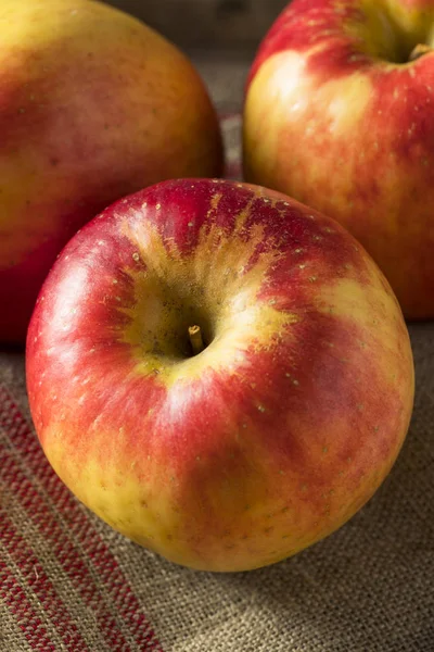 Raw Red Organic Sweet Tango Gala Apples — Stock Photo, Image