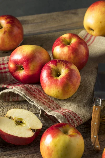 Raw Red Organic Sweet Tango Gala Apples — Stock Photo, Image