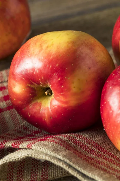 Çiğ kırmızı organik tatlı Tango Gala elma