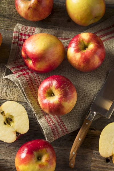 Raw Red Organic Sweet Tango Gala Apples — Stock Photo, Image