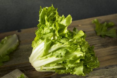 Ham yeşil organik Escarole marul