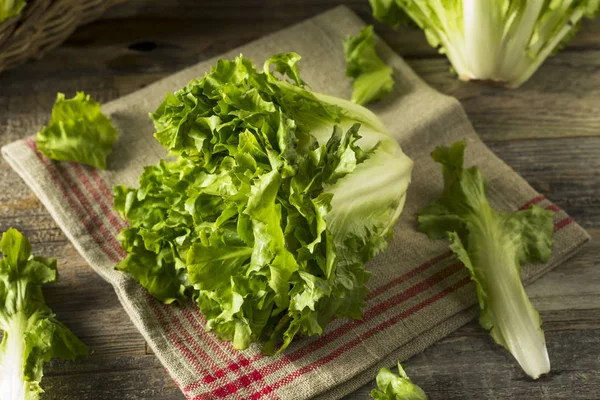 Lattuga verde cruda biologica scarola — Foto Stock