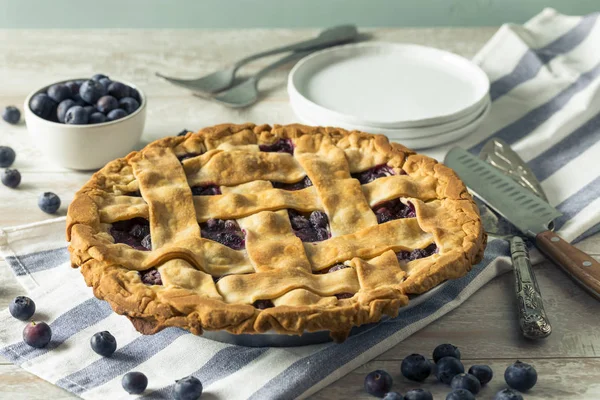 Dolce torta di mirtilli fatti in casa — Foto Stock