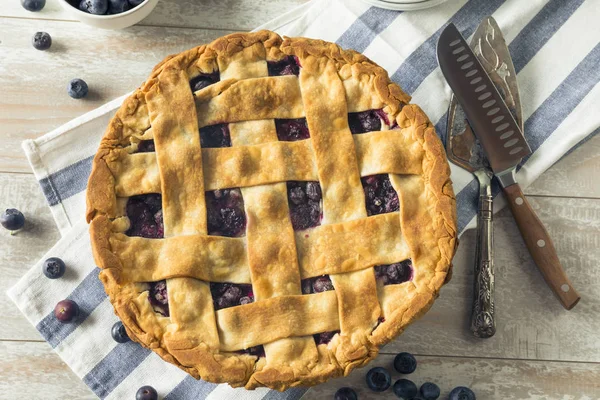 Γλυκό σπιτικό Blueberry Pie — Φωτογραφία Αρχείου