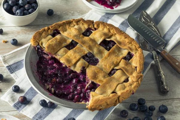 Tarte aux bleuets maison sucrée — Photo