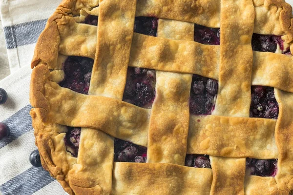 Blueberry Pie — стоковое фото