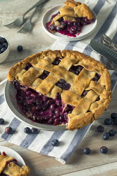 Tarte aux bleuets maison sucrée — Photo