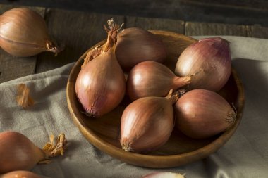 Ham organik soğancık soğan