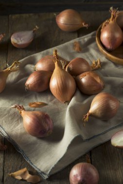 Ham organik soğancık soğan