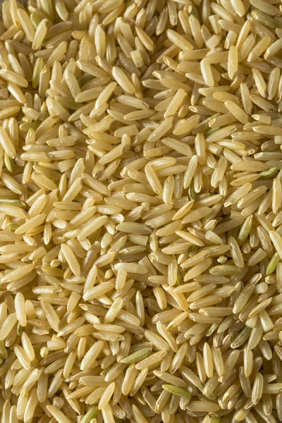 Сухой органический длинный коричневый рис — стоковое фото