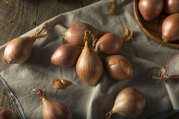 Cebolas de chalota orgânicas cruas — Fotografia de Stock