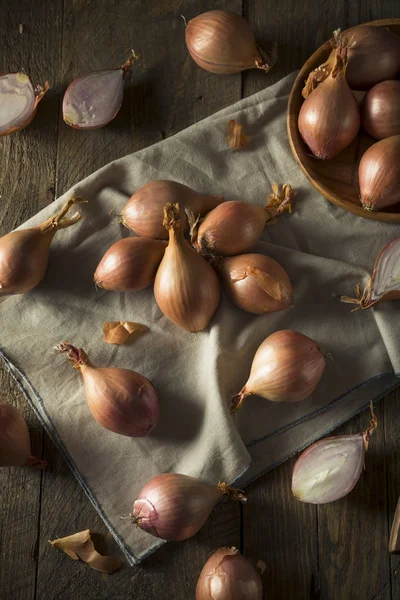 Cebolas de chalota orgânicas cruas — Fotografia de Stock