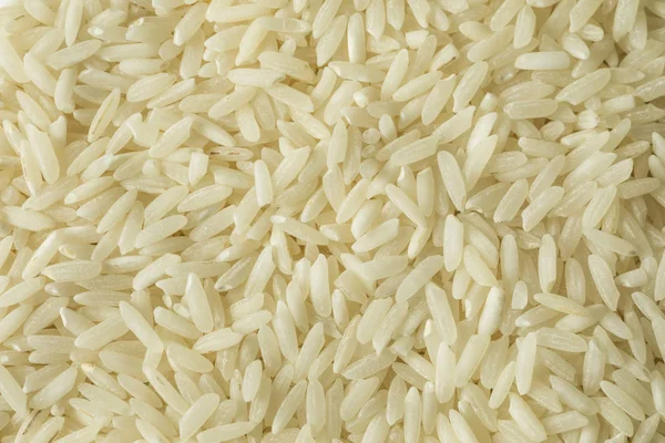 Riz blanc sec biologique à grains longs — Photo