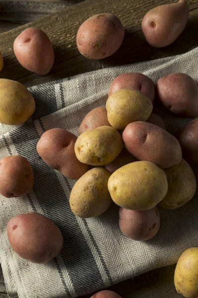 Patatas de bebé mezcladas orgánicas crudas — Foto de Stock