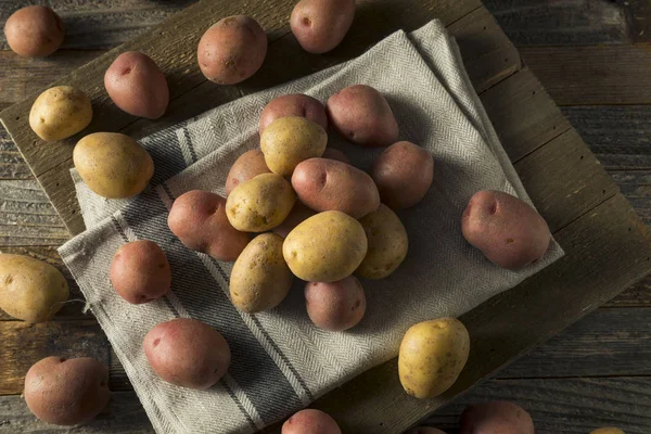 Сырая органическая смешанная детская картошка — стоковое фото