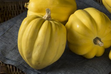 Ham organik beyaz sarı meşe palamudu kabak