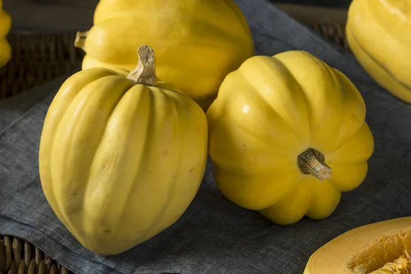 Raw Organic White Yellow Acorn Squash — Stock Photo, Image
