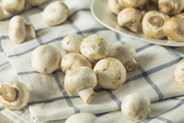 Çiğ beyaz organik bebek düğme mantar