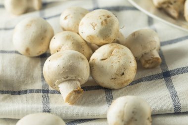 Çiğ beyaz organik bebek düğme mantar