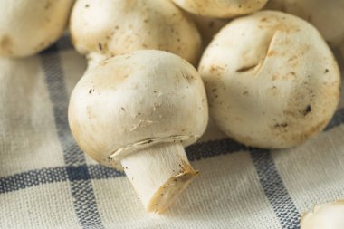 Çiğ beyaz organik bebek düğme mantar