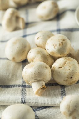 Çiğ beyaz organik bebek düğme mantar