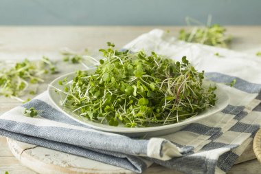 Sağlıklı ham organik Microgreens