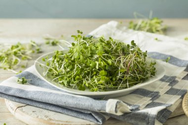 Healthy Raw Organic Microgreens clipart