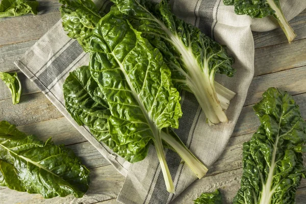 Raw Organic Green Swiss Chard — Stock Photo, Image