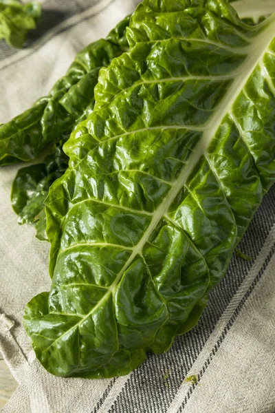 Ham organik yeşil Swiss Chard — Stok fotoğraf