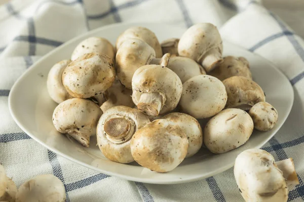 Raw White Organic Baby Button Mushrooms Stock Image