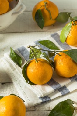 Sağlıklı ham organik Satsuma Mandarin portakal